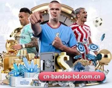 半岛体育平台 APP 深度功能（BANDAO SPORTS）